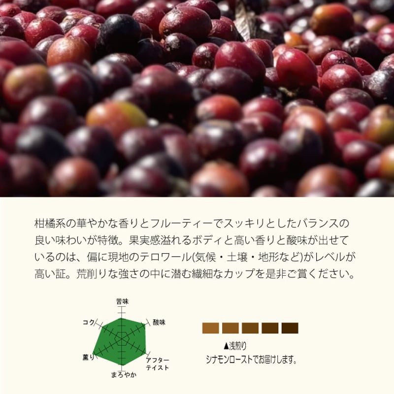 生豆・焙煎豆】エチオピア モカ グジ ウラガ村 G1 ナチュラル | The