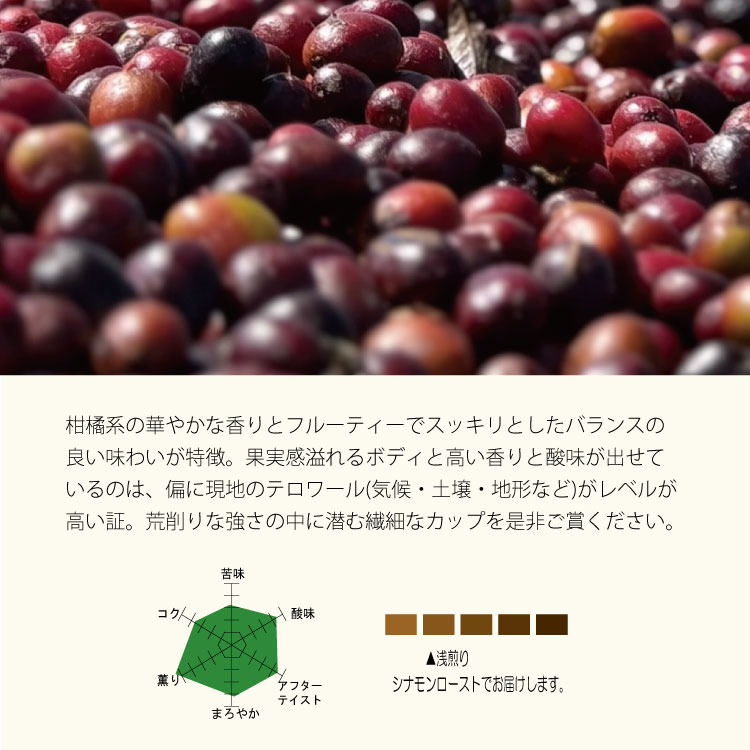 生豆・焙煎豆】エチオピア モカ グジ ウラガ村 G1 ナチュラル | The