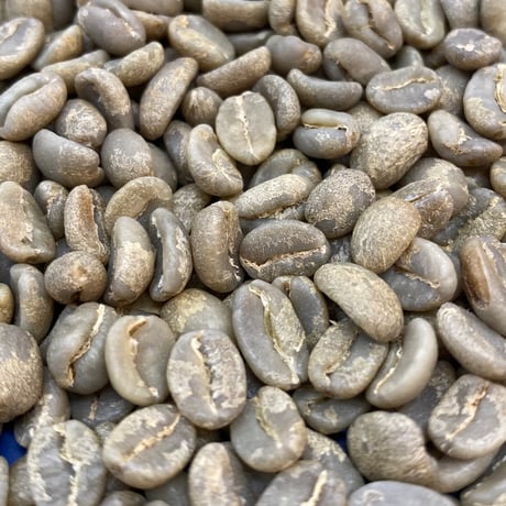 CATEGORY 生豆 | The Coffee Market