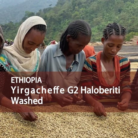 CATEGORY 生豆 | The Coffee Market コロンビア LOS MANDARINOS農園