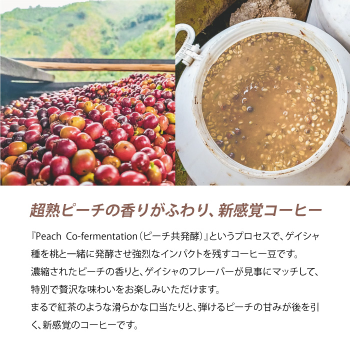 生豆】コロンビア Los Patios Geisha Honey Peach | The