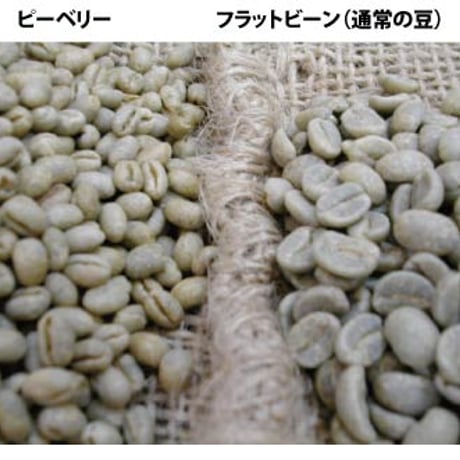The Coffee Market
