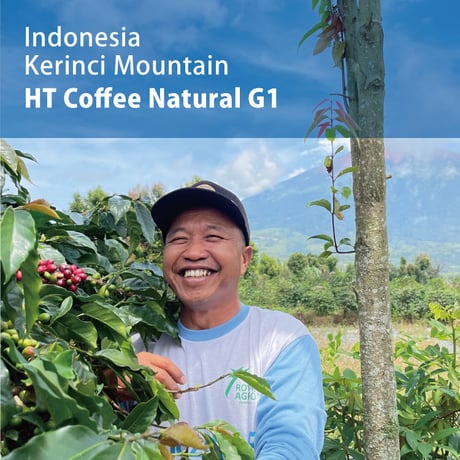 CATEGORY 生豆 | The Coffee Market