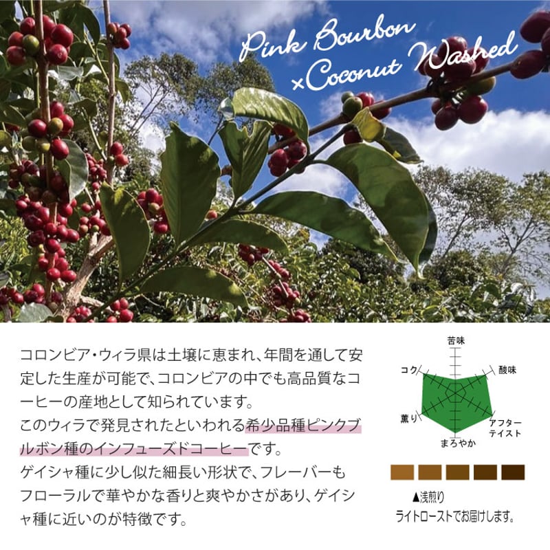 生豆・焙煎豆】コロンビア Huila / La Florida農園 チャポレラ