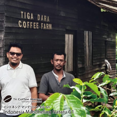 CATEGORY 生豆 | The Coffee Market