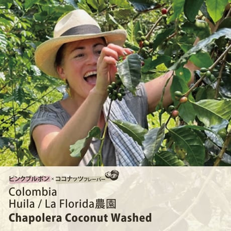 CATEGORY 生豆 | The Coffee Market