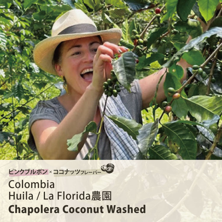 生豆・焙煎豆】コロンビア Huila / La Florida農園 チャポレラ