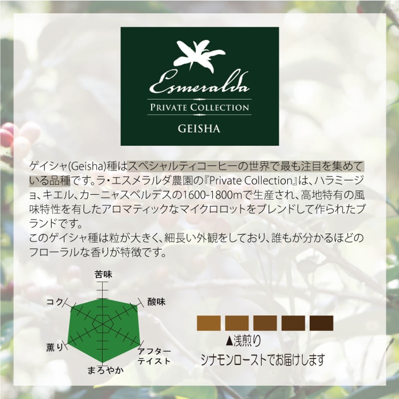 希少品種 パナマ エスメラルダ農園 ゲイシャ ナチュラル プライベート