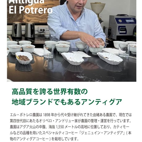 【生豆 格安】ボリビア ソル・デ・ラ・マニャーナ 10kg袋 200g】ボリビア ソル・デ・ラ・マニャーナ JAVA ナチュラル | 高谷山