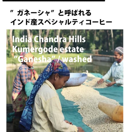 【生豆 格安】ボリビア ソル・デ・ラ・マニャーナ 10kg袋 商品一覧|Coffee Network