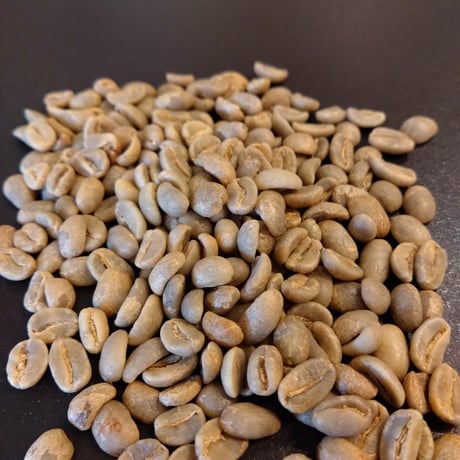 CATEGORY 生豆 | The Coffee Market