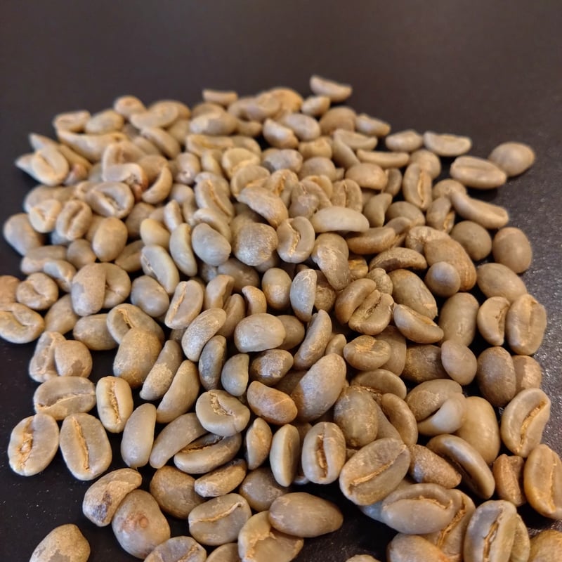 JAS認証有機栽培 オーガニック ペルー サンチュアリオG1