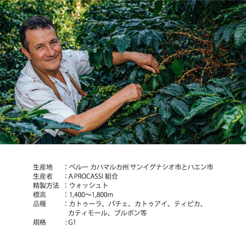 JAS認証有機栽培 オーガニック ペルー サンイグナシオ G1 -Organic