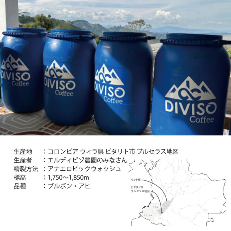 生豆・焙煎豆】コロンビア ウィラ エルディビゾ農園 ブルボン・アヒ