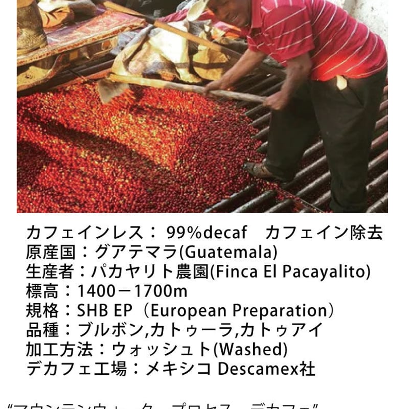 グアテマラSHB生豆5kg＋カフェインレス300g グアテマラSHB生豆5kg＋カフェインレス300g グアテマラSHB生豆