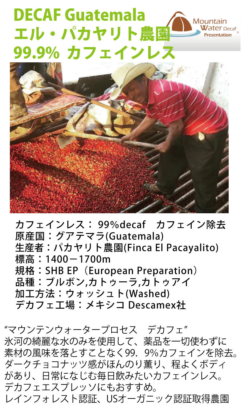 生豆】カフェインレス グアテマラ パカヤリト農園 | The Coffee Market