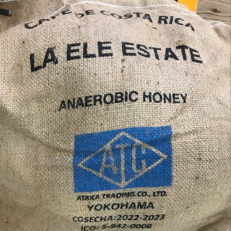 珈琲交響楽① ✨【10.11 AICHI NAGOYA 1st ANNIVERSARY‼】✨