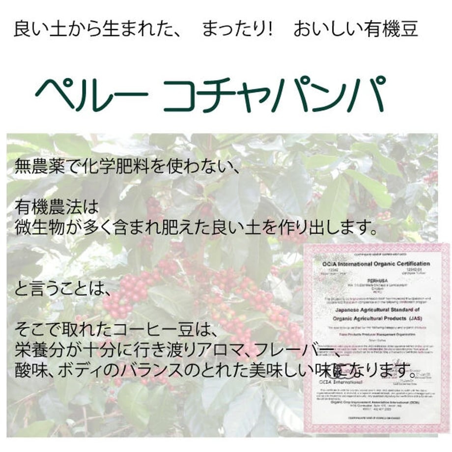 630980abb488720c260374fe