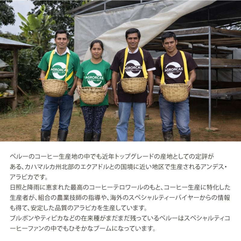 JAS認証有機栽培 オーガニック ペルー サンイグナシオ G1 -Organic