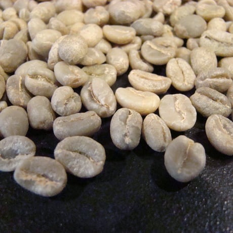 CATEGORY 生豆 | The Coffee Market