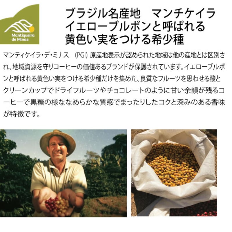 ブラジル カルモデミナス マンチケイラ オレンジショコラ アマレロ