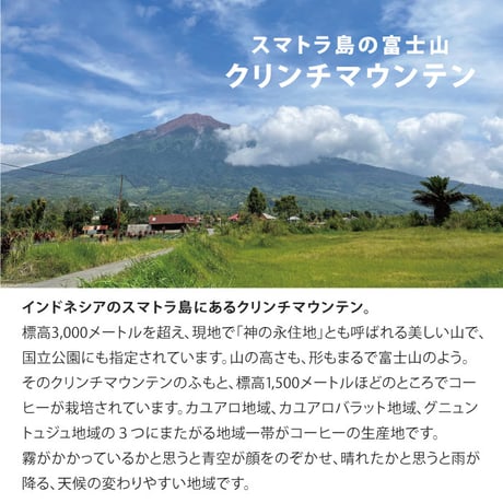 インドネシア  クリンチマウンテン コピ ジェルク ナチュラル