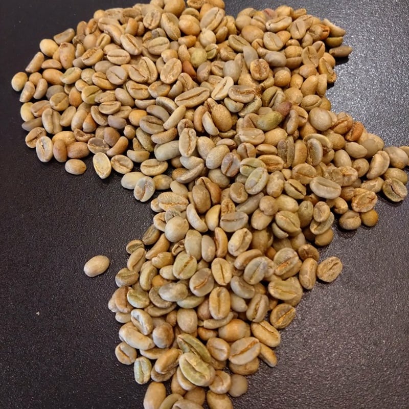 コーヒー生豆（グアテマラ·エチオピア） ２種セット コーヒー生豆（グアテマラ·エチオピア） 2種セット エチオピア