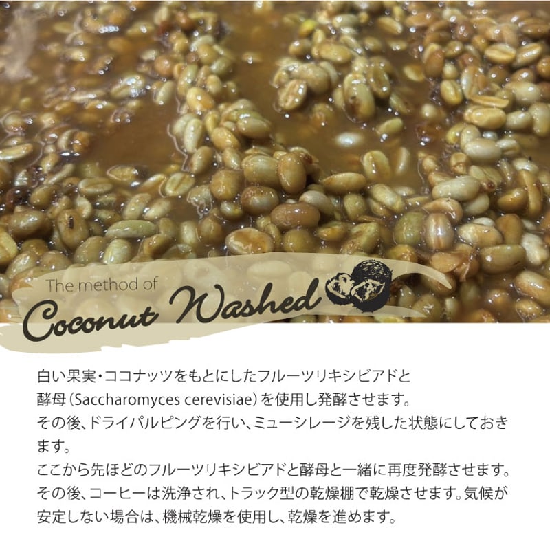 生豆・焙煎豆】コロンビア Huila / La Florida農園 チャポレラ
