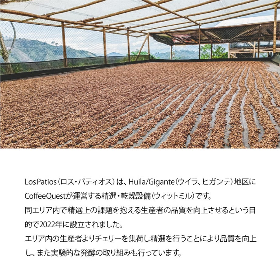 6792ef02f0358e002cf6e882