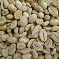 【コーヒー生豆】 エチオピア　モカ イルガチェフェ ナチュラル G1　Konga