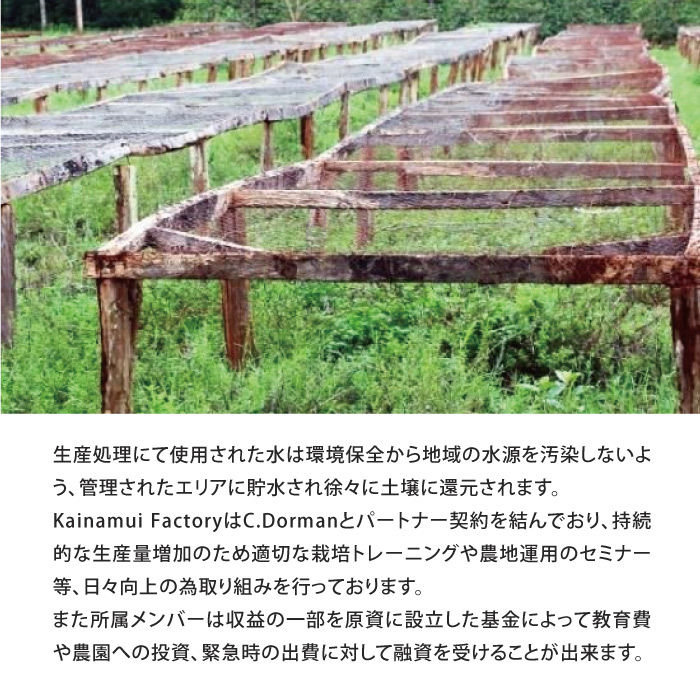 生豆】ケニア Ngariama ピーベリー フリーウォッシュト | The Coffee