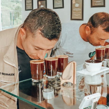 コロンビア カルダス カティオペ種 アナエロビック コーヒー 生豆 5kg