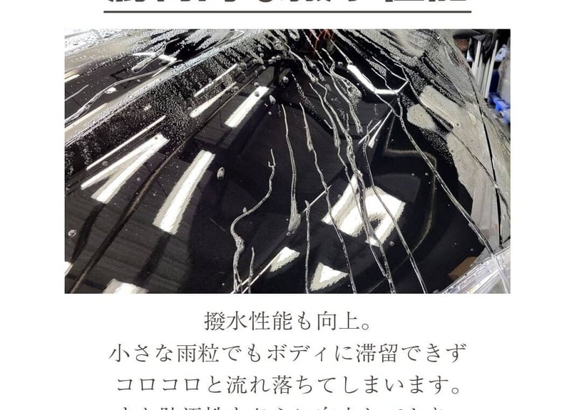 superfree! TopProofPremium 300ml トッププルーフプレミアム 洗