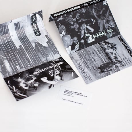 DESPISE YOU / COMPLETED EXPOSITION "Split" 2016 (Cassette)