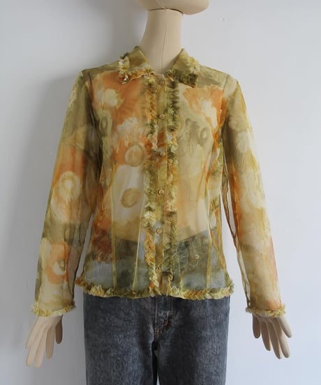 around00s ☀️🫥🐛 see-through blouse made in china
