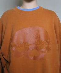 🍊💀🌫️ sweatshirt made by me