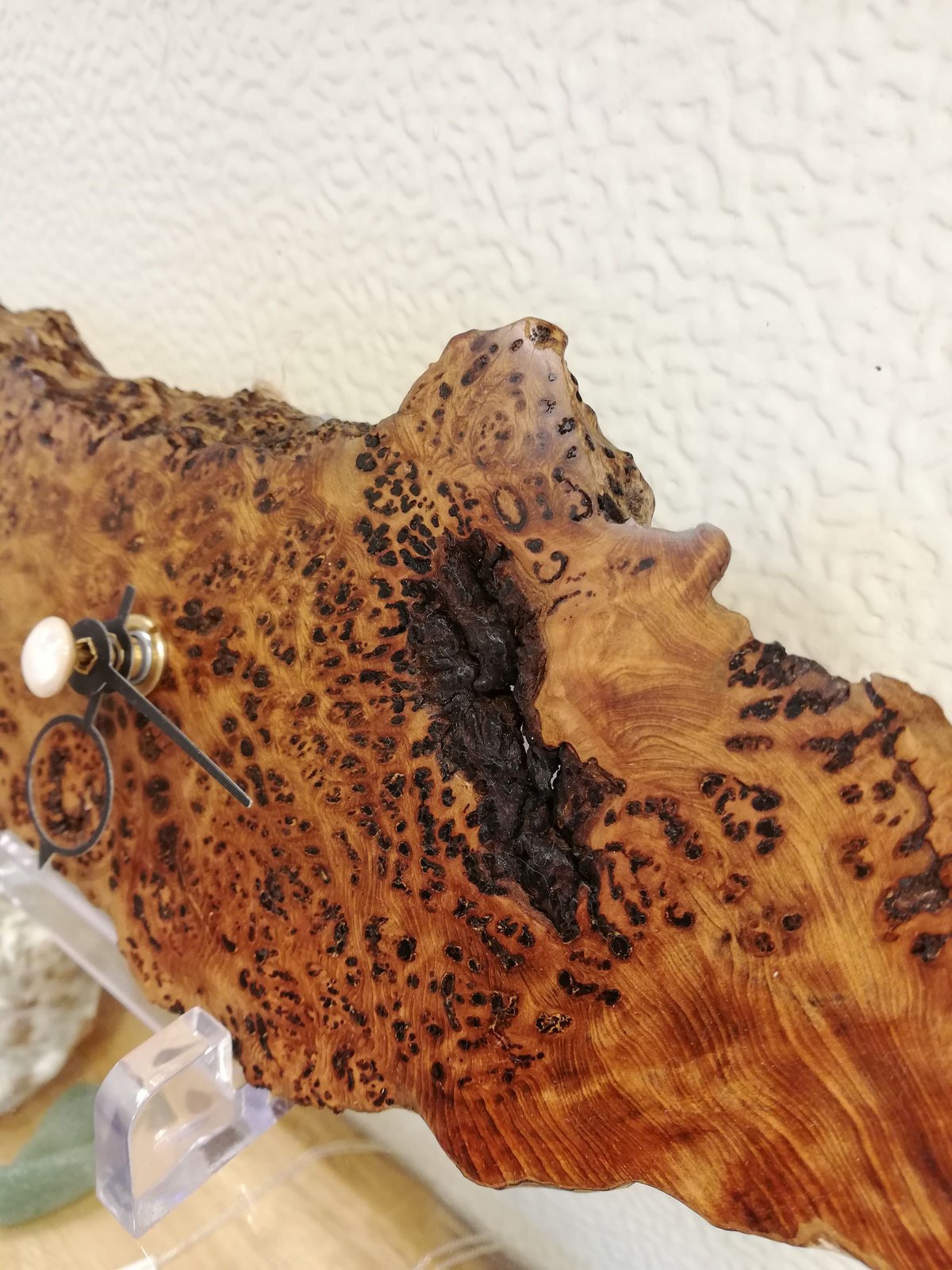 屋久杉　泡瘤　置物　 球体と台座　No1 NO 1002 屋久杉 壷泡瘤 （極上品 ） （台付き） 乾らんま店