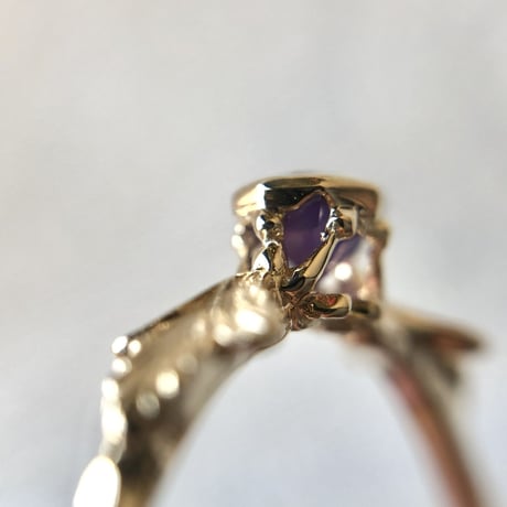 germinate spinel ring
