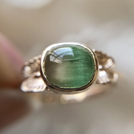 little guardians candy ring