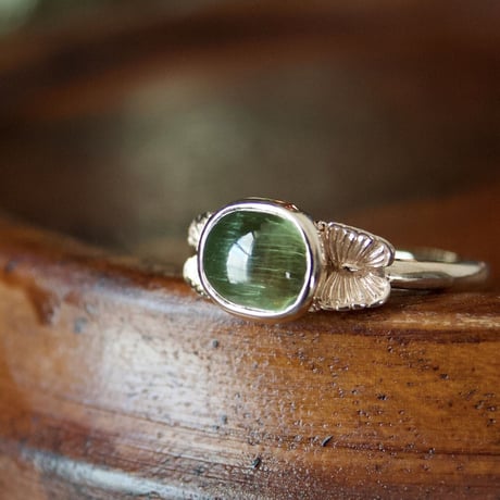 little guardians candy ring