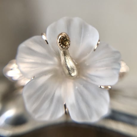 little guardians hibiscus ring
