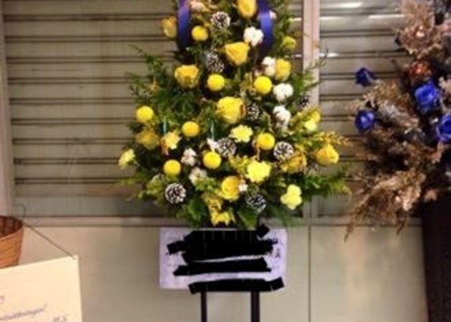 595b223cb1b619265c001753