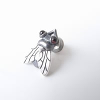 fly pierce