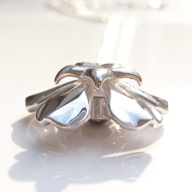 鈴木荘に咲く薔薇のネックレス | suzukiso