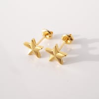 the star!! pierce | k18yg