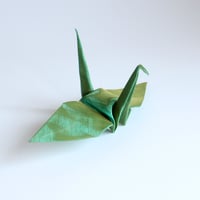 メッシュ鶴（偏光緑）