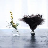 Feather Broom [フェザーブルーム]　ash [アッシュ]