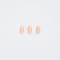 117-01　R＆Ｗ　COPPER LEAF