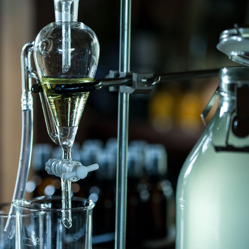 エッセンシャルオイル | 心に風 / Wind for Mind