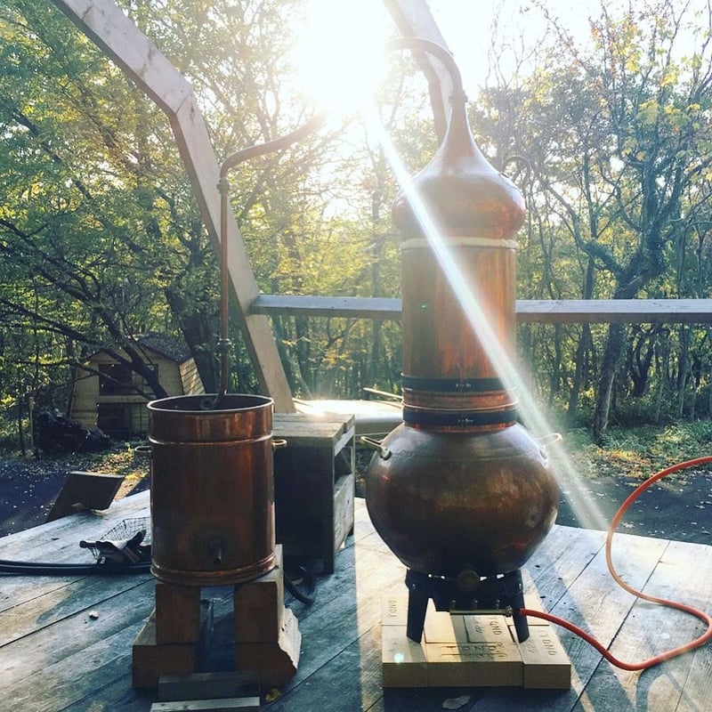 エッセンシャルオイル | 心に風 / Wind for Mind